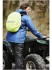 Visible Daypack Grizzly