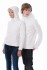 Hooded Softshell / Women