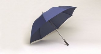 Automatik Portier Parasol
