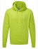 Bluza Authentic Hooded Sweat Russell 